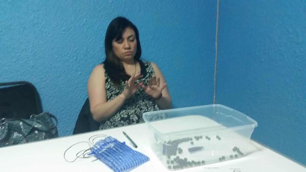 Imagen 14