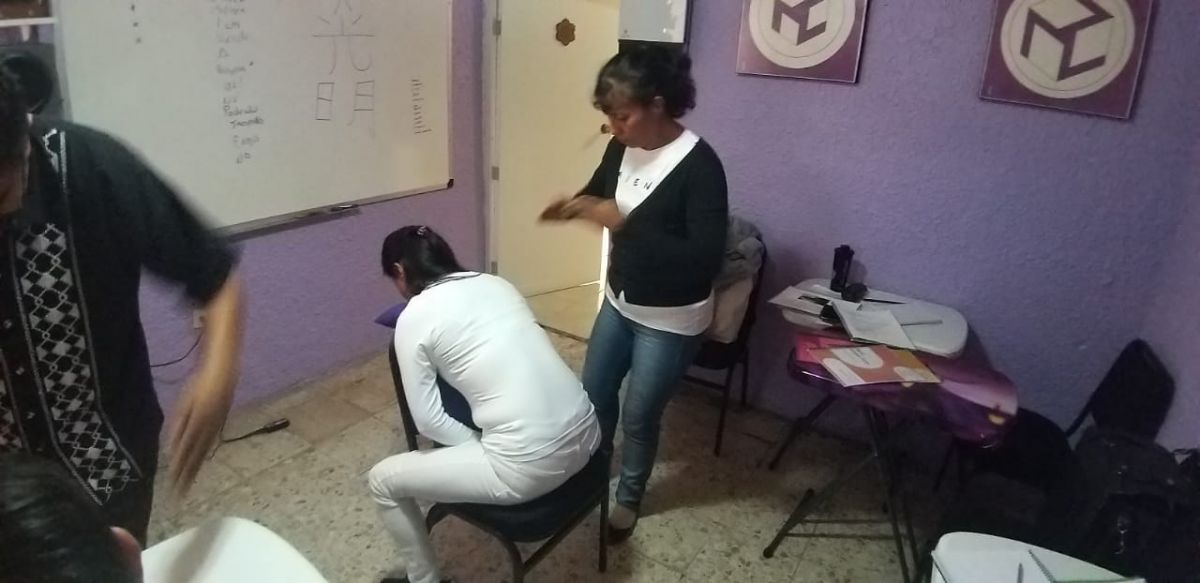 Imagen 14