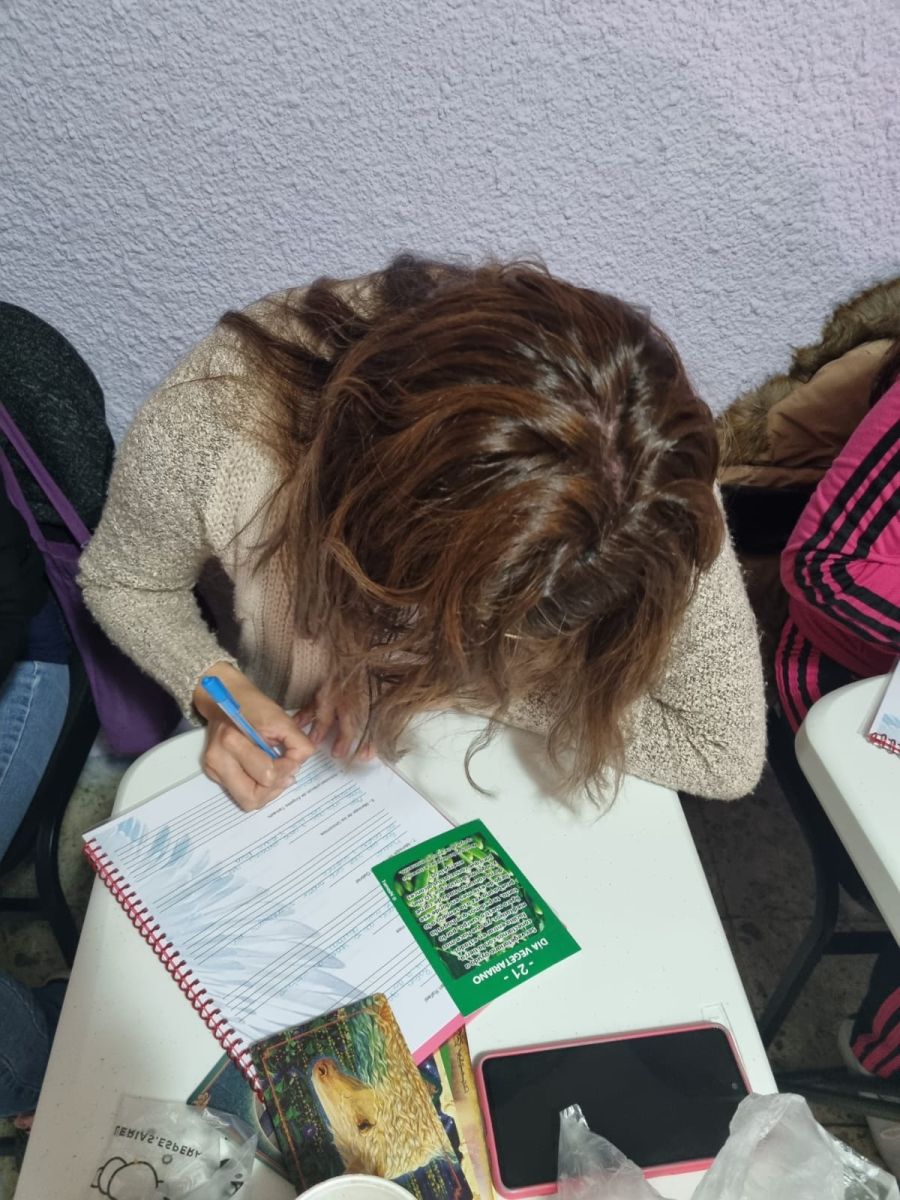 Imagen 25