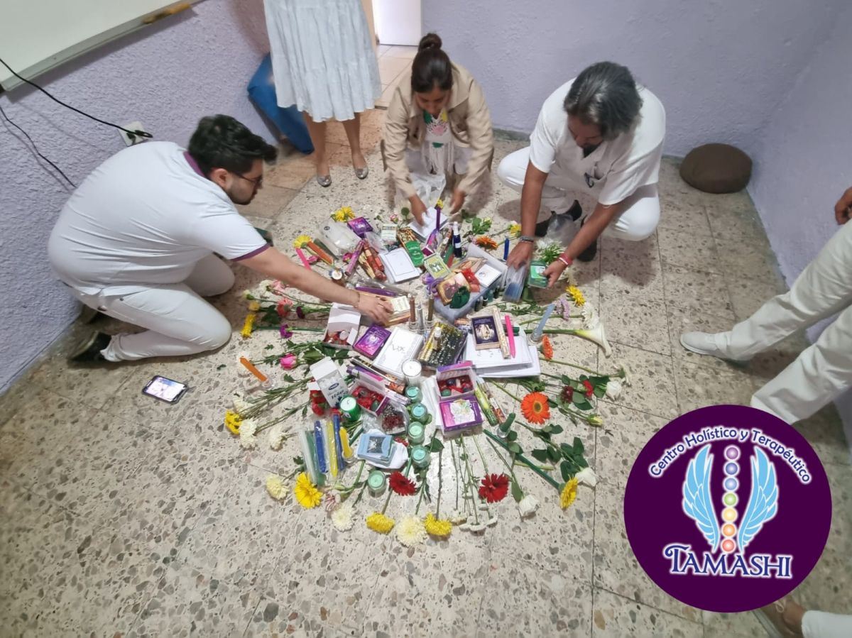 Imagen 6