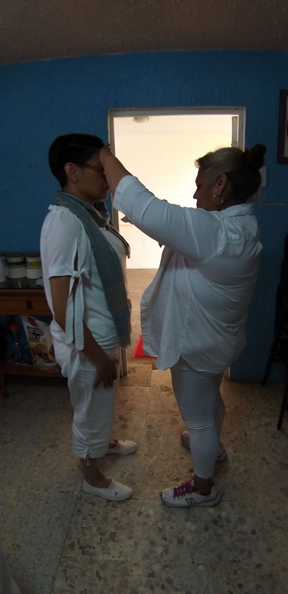 Imagen 10